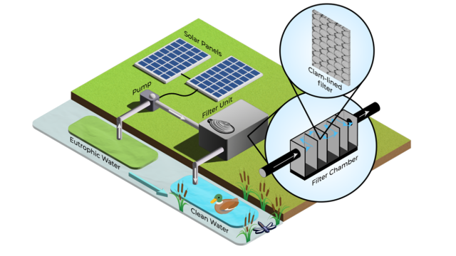 werking mosselfilter